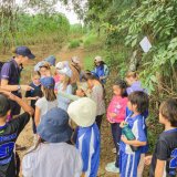 Balancing Screen Time and Outdoor Activities for Students