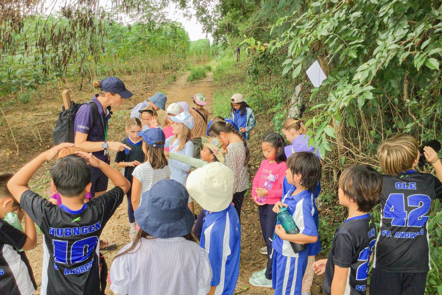 Balancing Screen Time and Outdoor Activities for Students