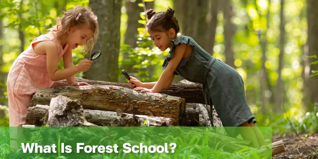 What Is Forest School?
