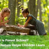 What Is Forest School?