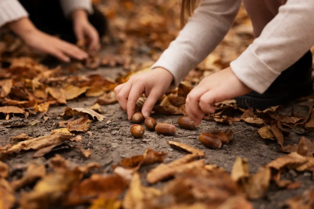 Children collecting acorns during an Early Years Forest School activity.