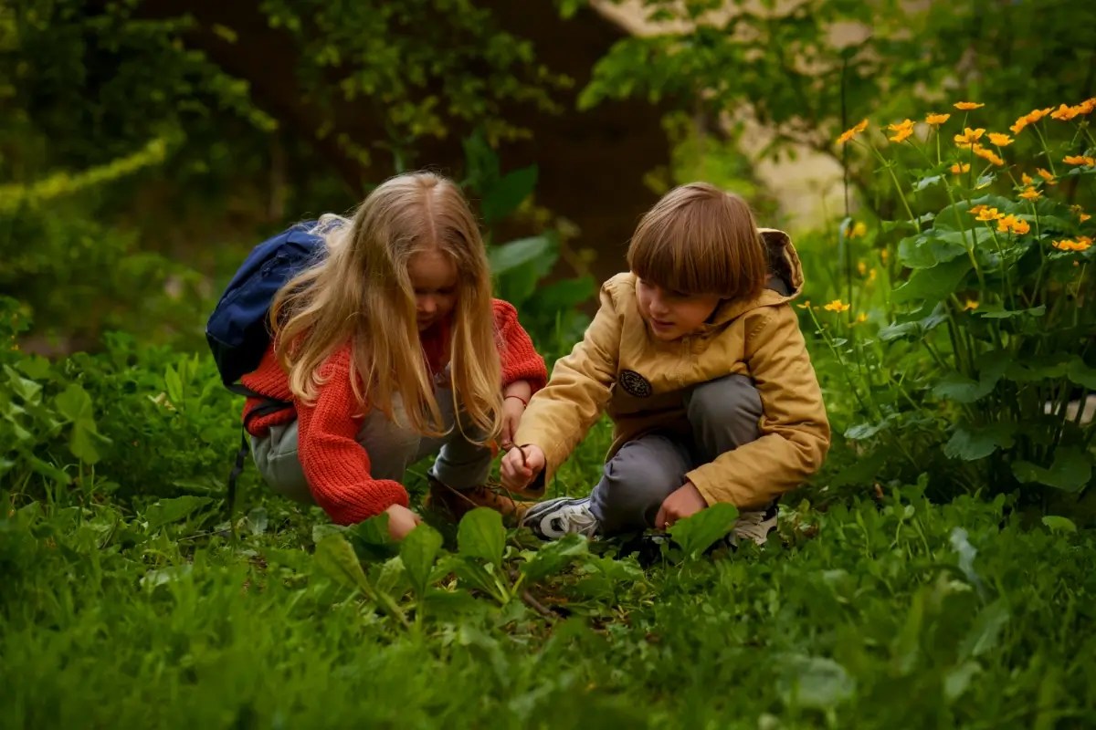 Children exploring plants together during a Forest School programme.
