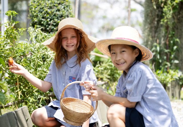 Pupils harvesting vegetables at Green Valley, an ASEAN School Awards Finalist.