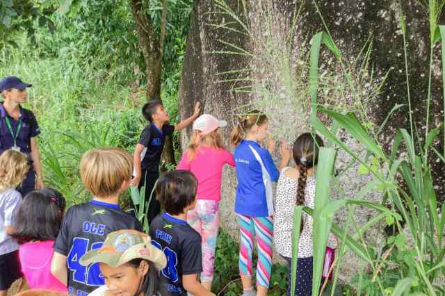how-to-balance-screen-time-with-outdoor-activities how gv studen balance screen time with outdoor activities