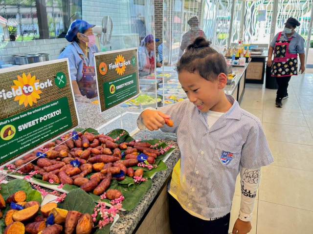 international-school-canteen tudent explores homegrown school lunch with joy and curiosity in the international school canteen