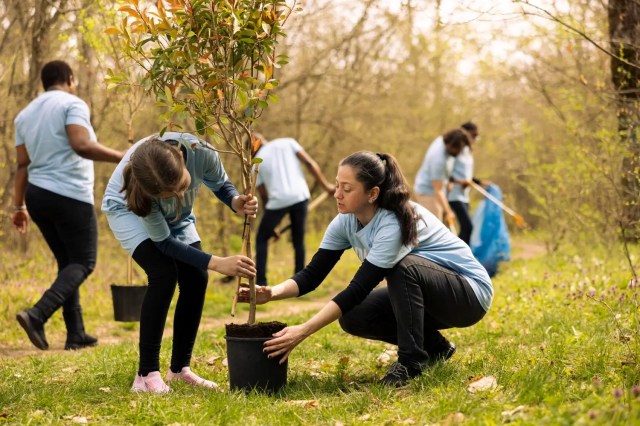 student-volunteering-programs Planting trees outdoors is one of student volunteering programs.