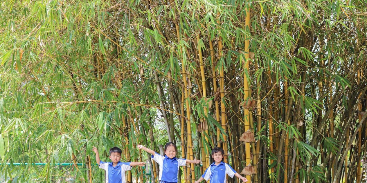 Young preschoolers at St. Andrews Green Valley explore nature outdoors beneath tall bamboo, starting their eco-school learning journey for preschoolers.