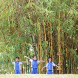 Young preschoolers at St. Andrews Green Valley explore nature outdoors beneath tall bamboo, starting their eco-school learning journey for preschoolers.