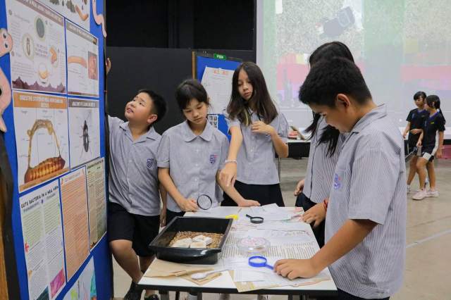 ibdp-environment Students explore a science display with curiosity which is a sign of the independent thinking and interest that thrive in the IBDP environment.