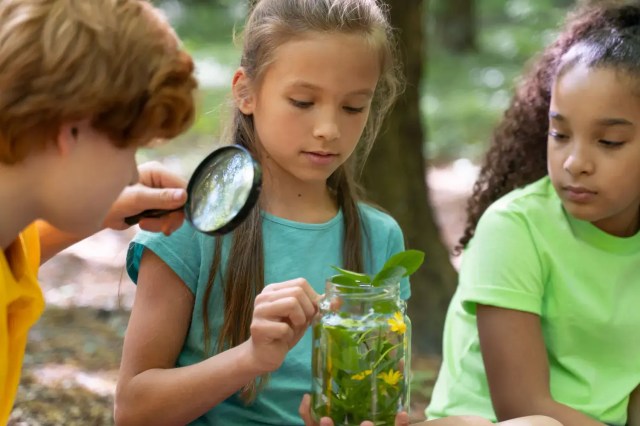 Environmental sustainability in education through hands-on learning and nature exploration.
